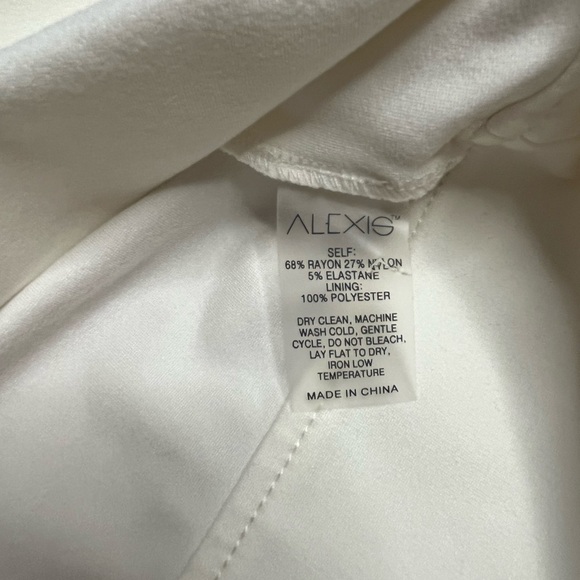 EUC ALEXIS- Neicy Skirt in Soft White. Size S. - Picture 7 of 10